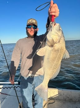 Black Drum Fishing in Matagorda, Texas