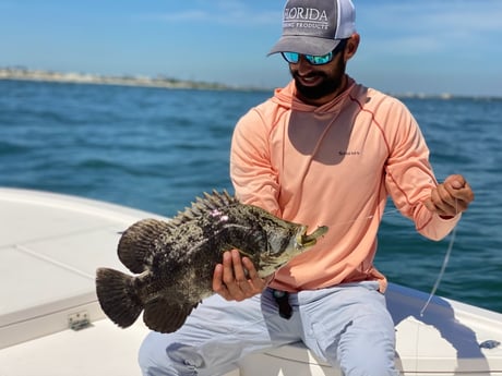 Tripletail Fishing in Jacksonville Beach, Florida
