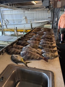 Fishing in Buras, Louisiana