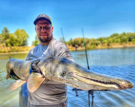 Alligator Gar Fishing in Port Aransas, Texas