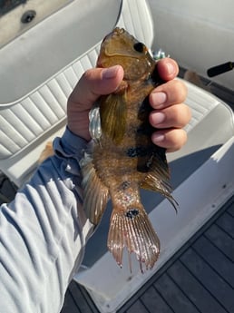 Fishing in Pembroke Pines, Florida