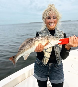 Redfish Fishing in Cape Coral, Florida