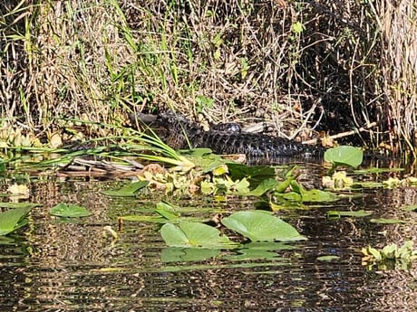 Fishing in Fort Lauderdale, Florida