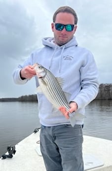 Largemouth Bass Fishing in Fairfield, North Carolina