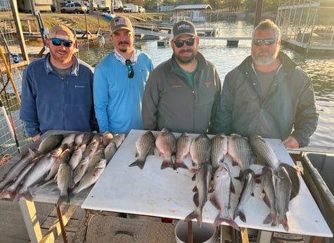 Striped Bass fishing in Burnet, Texas