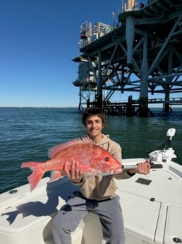 Fishing in Orange Beach, Alabama