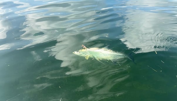 Fishing in Key West, Florida
