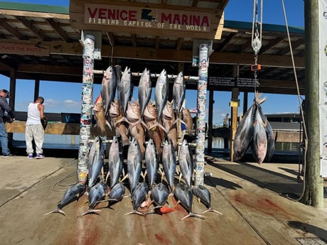 Fishing in Buras, Louisiana