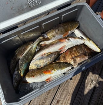 Fishing in Galveston, Texas