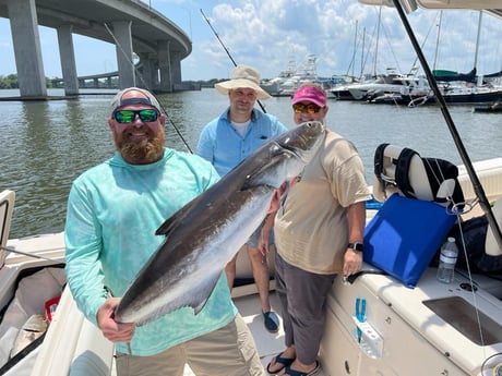 Cobia Fishing in Charleston, South Carolina