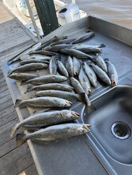 Fishing in Sulphur, Louisiana
