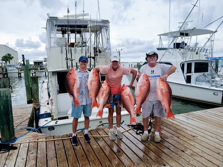 Red Snapper fishing in Dauphin Island, Alabama