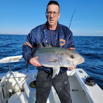 Amberjack fishing in Indian Rocks Beach, Florida