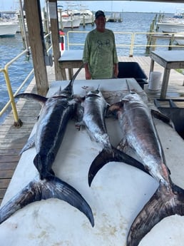 Fishing in Pensacola, Florida