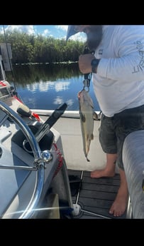 Fishing in Pembroke Pines, Florida