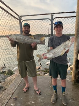 Snook Fishing in Melbourne, Florida