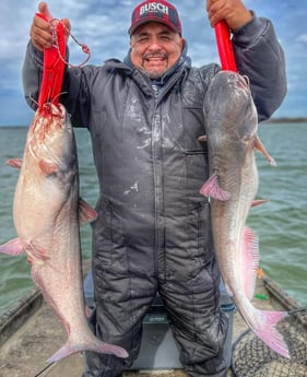 Blue Catfish Fishing in Dallas, Texas