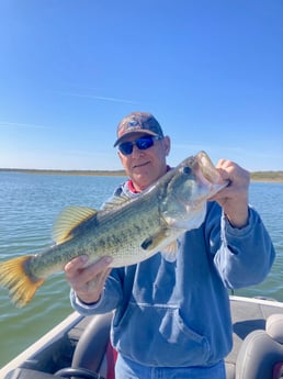 Largemouth Bass fishing in Zapata, Texas