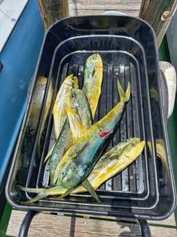 Fishing in Fort Pierce, Florida