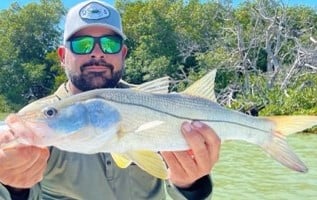 Snook Fishing in Tavernier, Florida