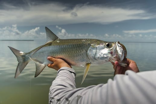 Fishing in Key Largo, Florida