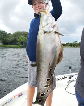 Clown Knifefish Fishing in Delray Beach, Florida
