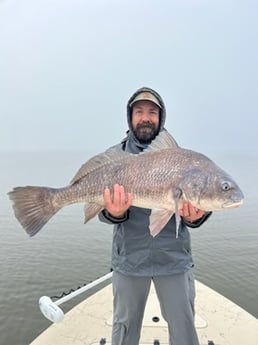 Black Drum Fishing in Saint Bernard, Louisiana