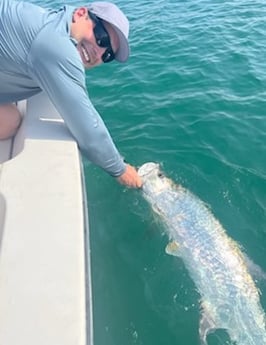 Tarpon Fishing in Miami Beach, Florida
