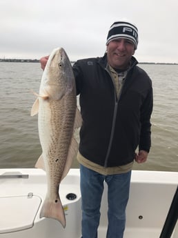 Redfish Fishing in League City, Texas