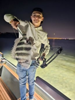 Fishing in Tampa, Florida