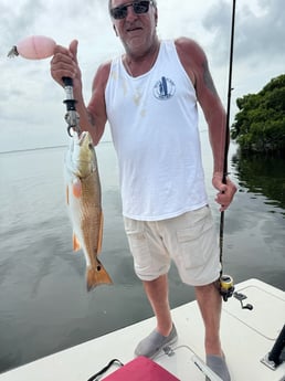 Fishing in Sarasota, Florida