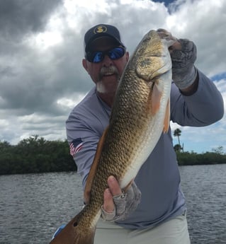 Redfish fishing in Hudson, Florida