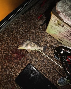 Fishing in South Padre Island, Texas