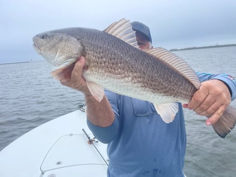 Fishing in Slidell, Louisiana