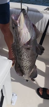 Fishing in Foley, Alabama