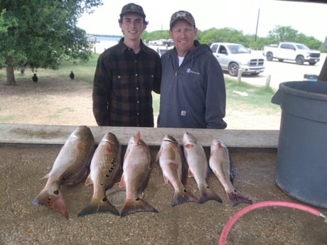 Fishing in Poteet, Texas