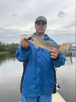 Redfish fishing in Palm Coast, Florida
