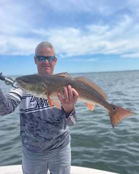 Fishing in Sarasota, Florida