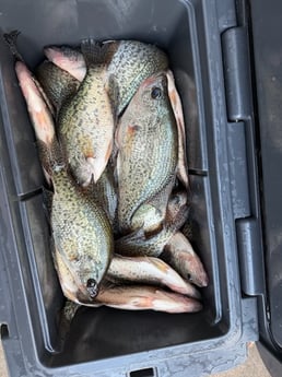 Fishing in Salisbury, North Carolina