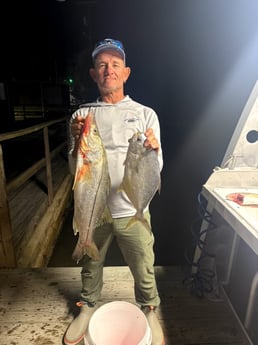 Fishing in Sebastian, Florida