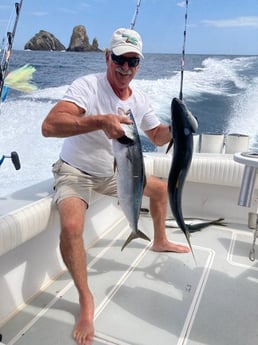 Yellowtail Amberjack Fishing in West Palm Beach, Florida