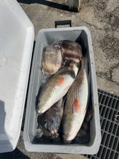 Fishing in Texas City, Texas