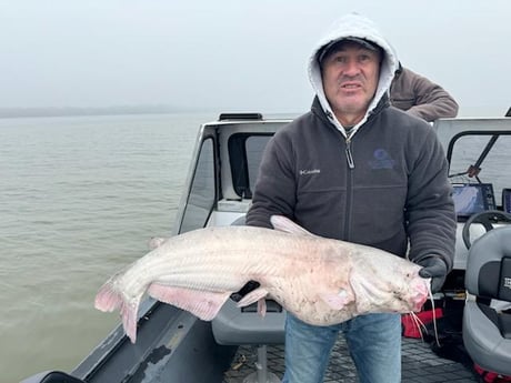 Blue Catfish Fishing in Dallas, Texas