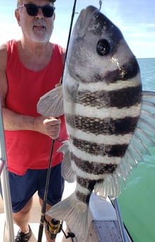 Sheepshead fishing in Gulfport, Florida