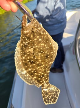 Fishing in Lakeland, Florida