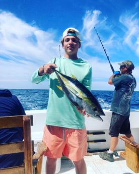Yellowfin Tuna fishing in Wilmington, North Carolina