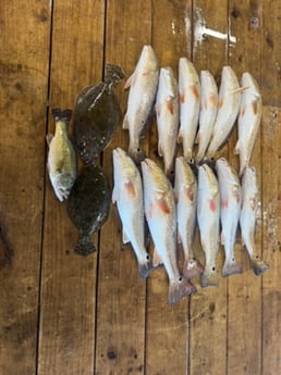 Fishing in Buras, Louisiana