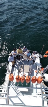 Fishing in Orange Beach, Alabama