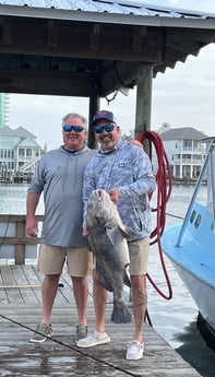Fishing in Orange Beach, Alabama