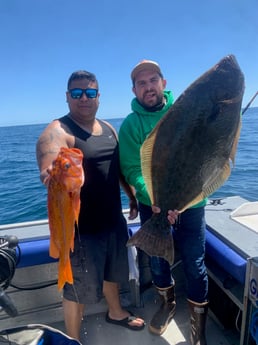 Halibut, Rockfish Fishing in Oxnard, California